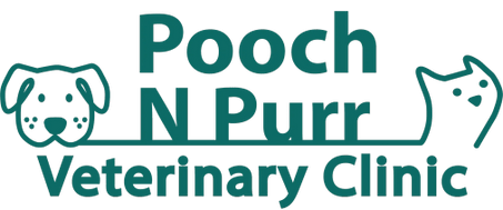 Pooch N Purr Veterinary Clinic