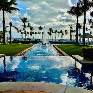 Luxurious pool with palm trees and ocean view.