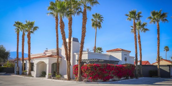 A modern white house surrounded by tall palm trees under a clear blue sky.