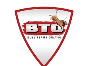 Logo with a bull and text 'BTO Bull Teams Only' inside a red triangular shield.