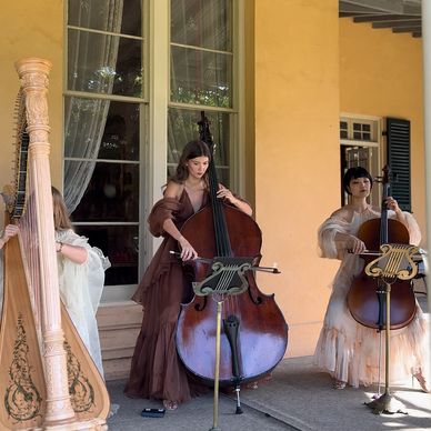 harp double bass cello trio vaucluse house estate luxury ceremony reception cocktail hour music