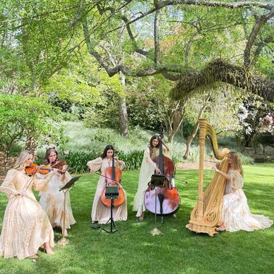 MILTON PARK HARP STRINGS CEREMONY COCKTAIL HOUR MUSIC zimmermann violin cello bowral luxury quartet