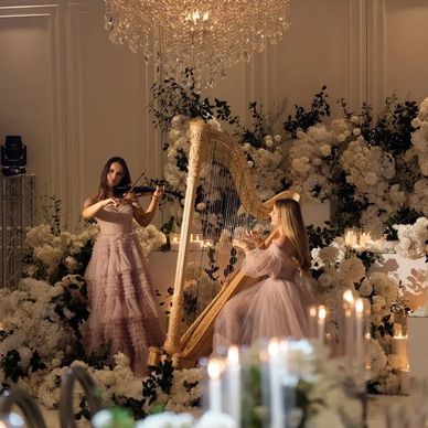 VIOLIN Harp duo luxury curzon hall sydney music reception ceremony gown romantic