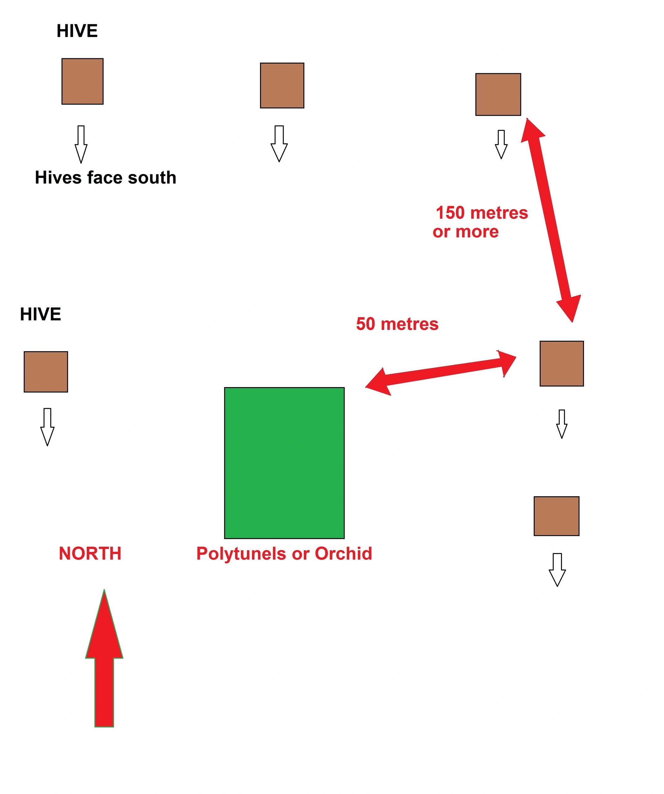 best beehive location