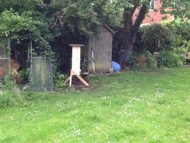 beehive in the garden