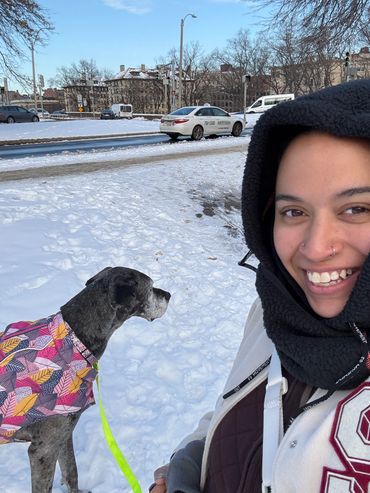 dog walker with greyhound on snowy winter day