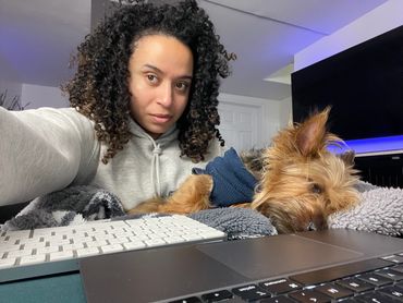 small yorkie asleep at work desk
