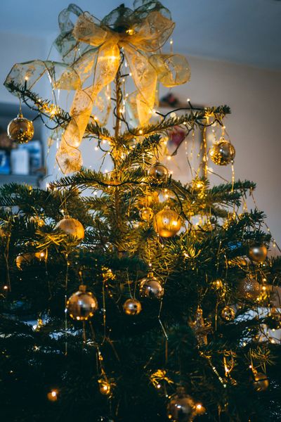 Christmas tree with golden decorations and lights.