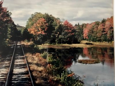 Marking wetlands along the Adirondack Scenic Railroad (1994).