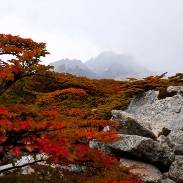 depression counseling