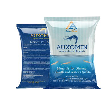 Aquaculture Minerals For shrimp farming #FeedSupplements #ShrimpFarming.
AUXOMIN