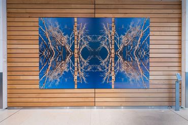 photograph of aborginal artist wayne quilliam artwork in commercial building in sydney