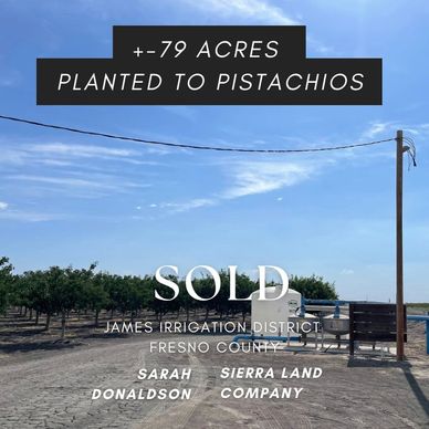 Sold agricultural land agriculture investment farming pistachios almonds land water