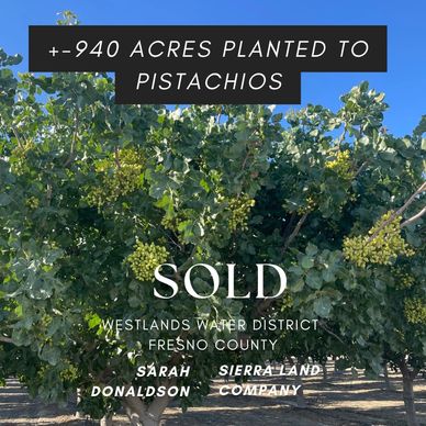 Sold agricultural land agriculture investment farming pistachios almonds land water