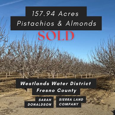 Sold agricultural land agriculture investment farming pistachios almonds land water