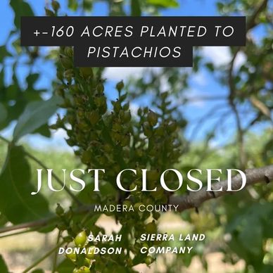 Sold agricultural land agriculture investment farming pistachios almonds land water