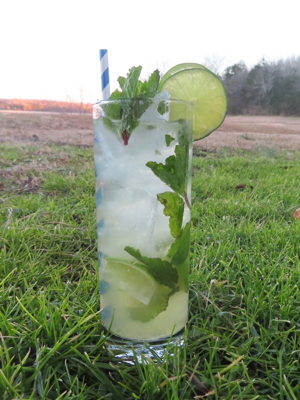 A crisp refreshing mojito. For the longer days.