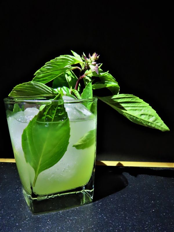 The basil smash...tastes like a stimulating burst of sunshine, while hints of basil hit your nose.