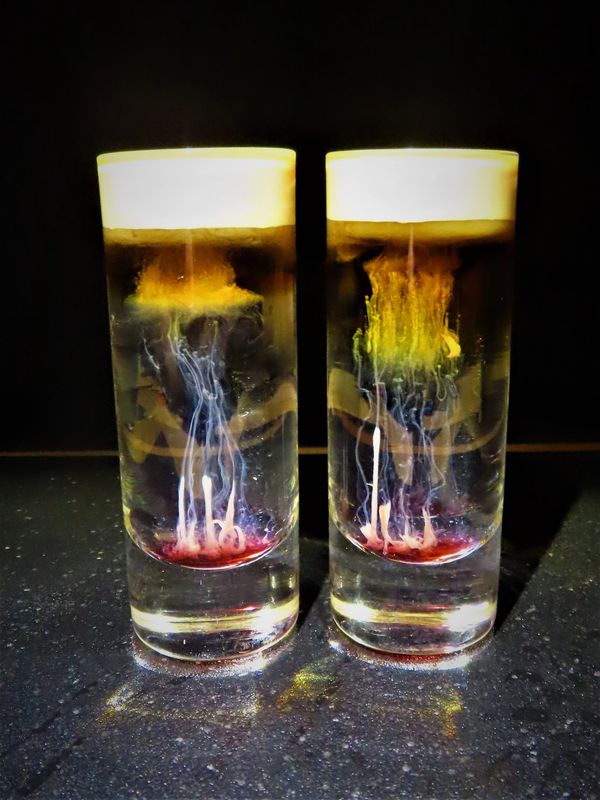 Have you ever seen a brown jellyfish? Well we bring you ....the Coco de Jellyfish in its natural