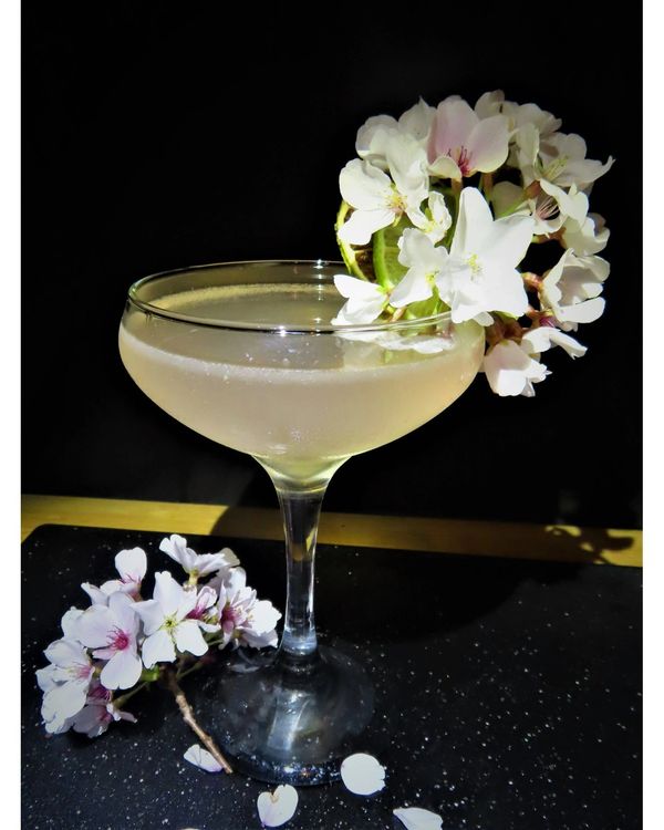 Come take a trip to cherry town, to see the amazing Hemingway Daiquiri.