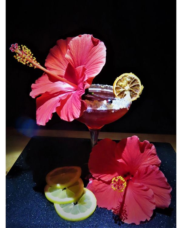 The Hibiscus lemon drop is a cocktail that has scents of a flower to hit your nose and tastes of a s