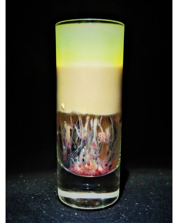 The Hiroshima... an explosive shot guaranteed to turn your world upside down.