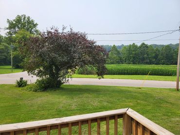 Enjoy. less than 1/2 mile from Stone Head nature preserve, near Van Buren Elementary and a quick 10