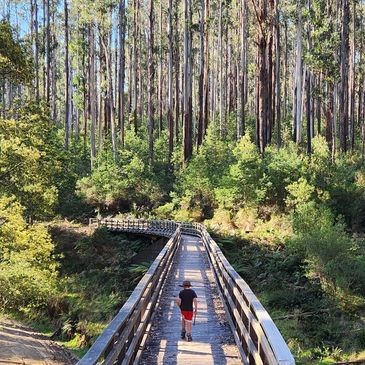 A picture of the kids walking on the bridge