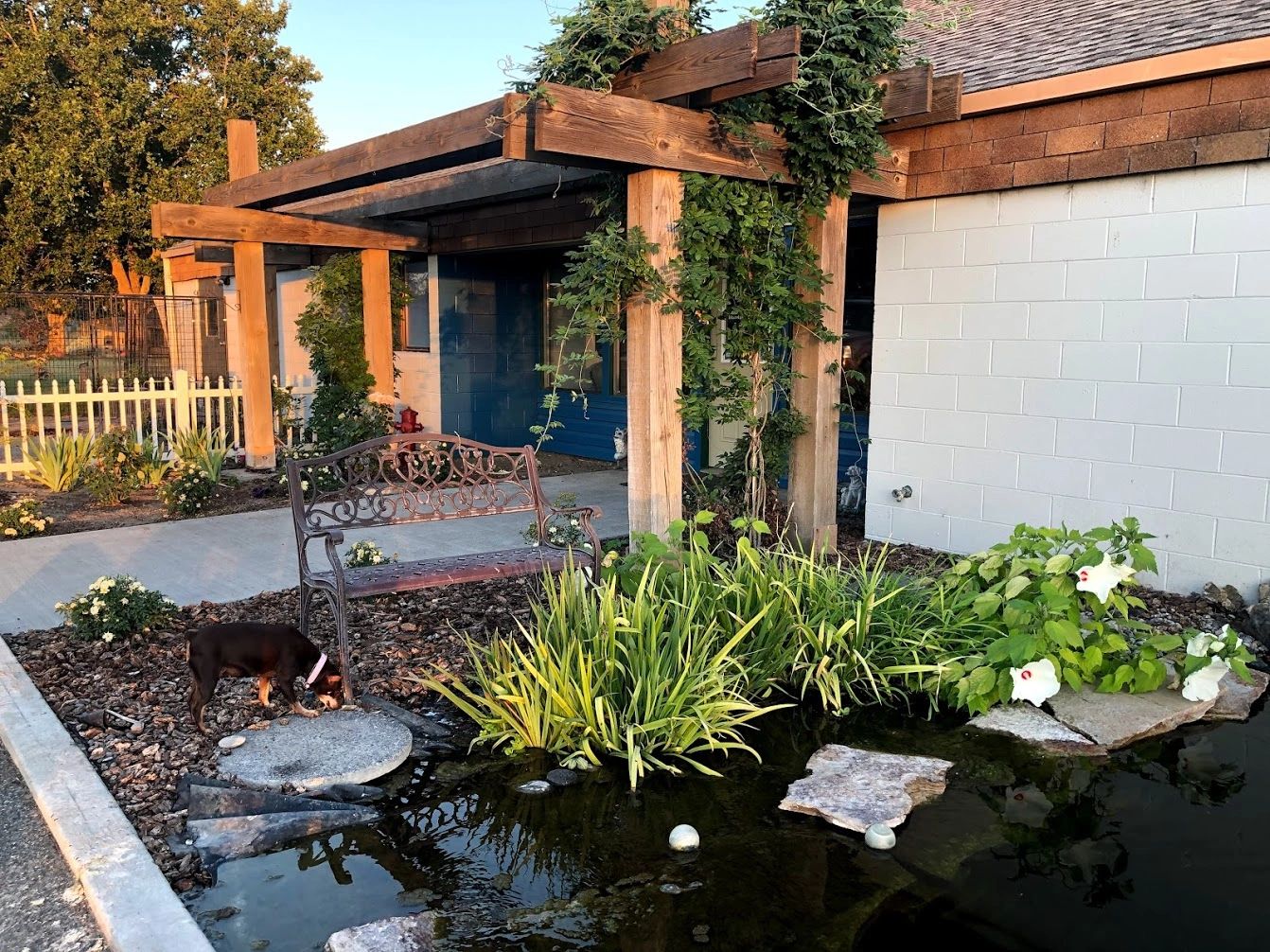 BnB Pet Retreat entrance - pet & dog boarding