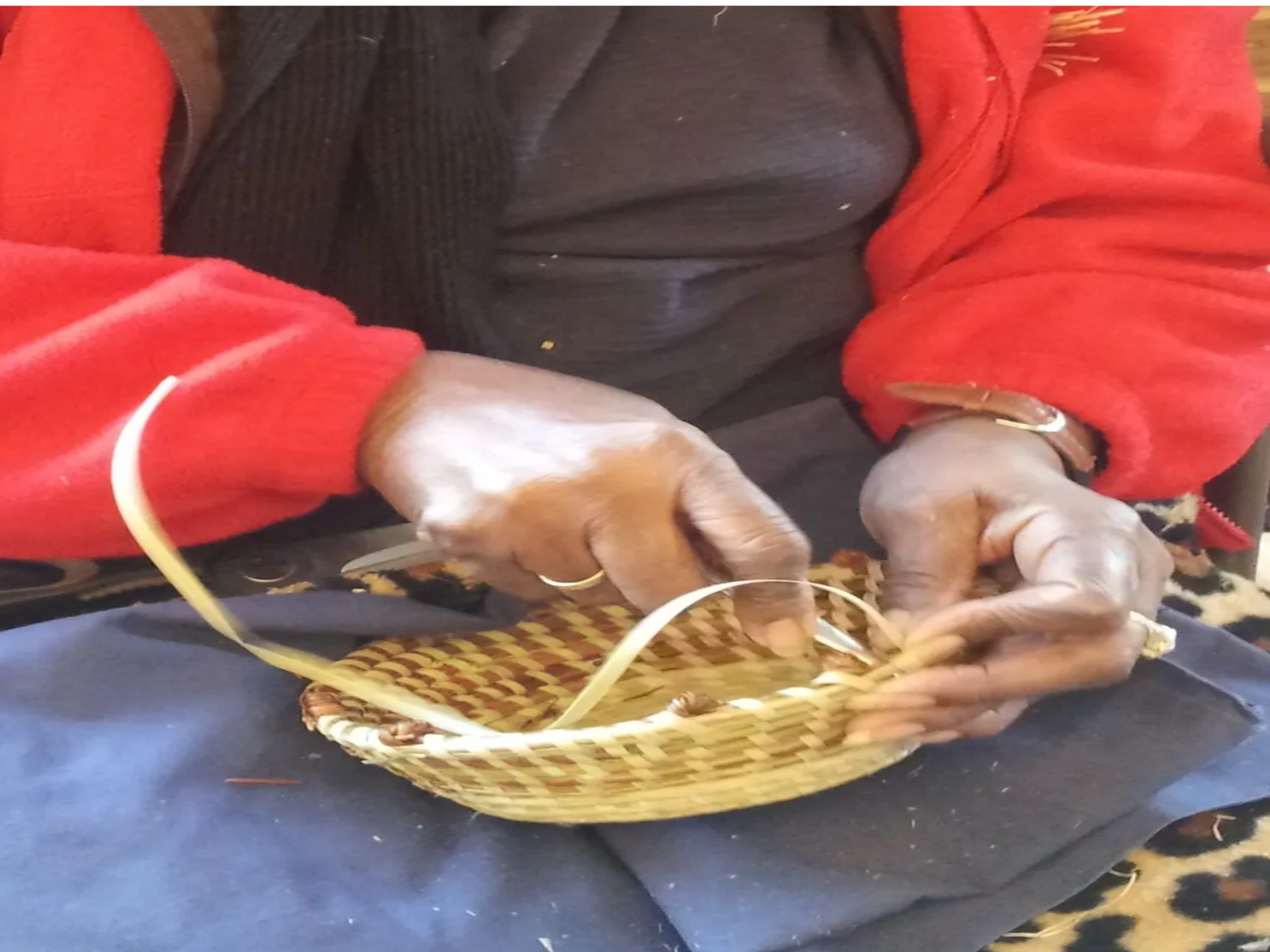 Weaving a small Gullah sweetgrass basket.