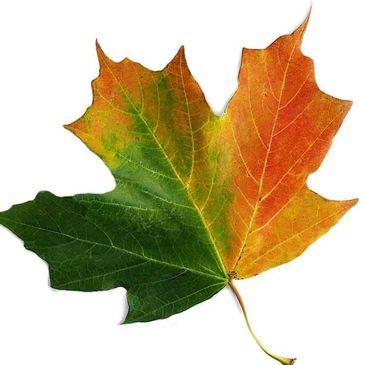 THE FIBERWORKS Pa Yarn Quest