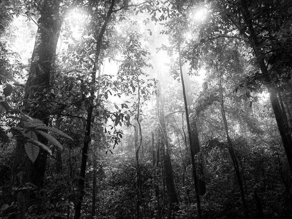 Photo credit: crystal mirallegro - unsplash