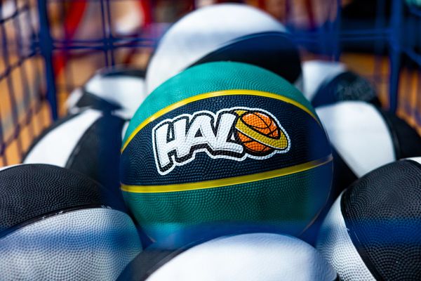 Halo hoops baksketball