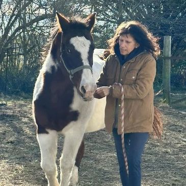 Founder, Executive Director and Certified PATH Intl Therapeutic Riding Instructor (CTRI).