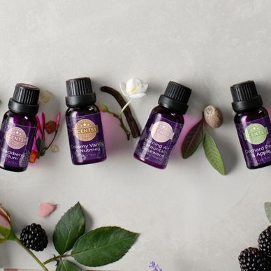 Scentsy oils that are new to the fall/winter 2024 catalog