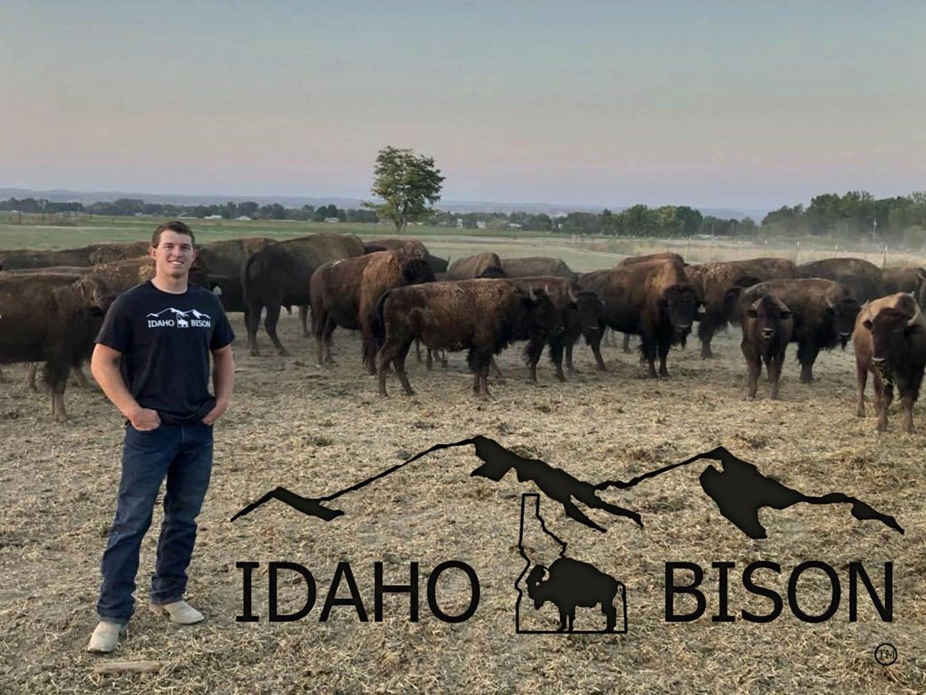 Cody Bumgarner with Idaho Bison herd