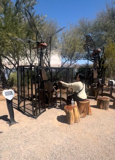 Person interacting with outdoor insect-themed mechanical displays on wooden stools.
