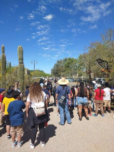 Group of people gathered outdoors under a bright blue sky near cacti and metal butterfly sculptures.