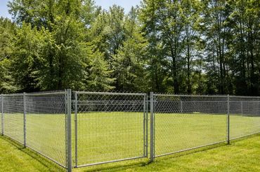 A large, empty fenced grassy area surrounded by tall trees.
