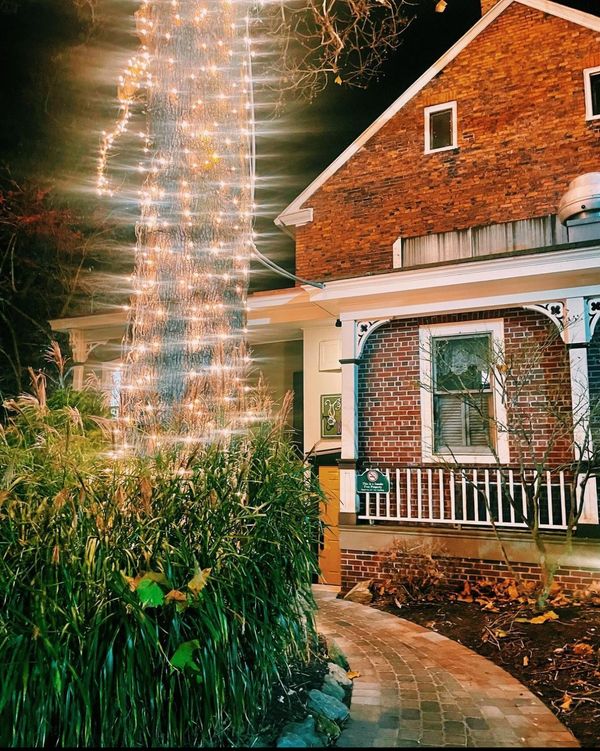 Back Porch Sycamore Tree