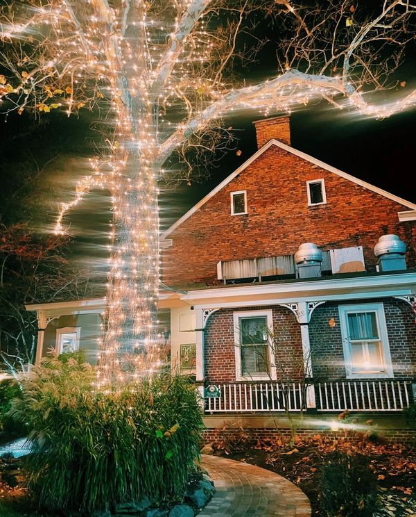 Back Porch restaurant sycamore tree lit