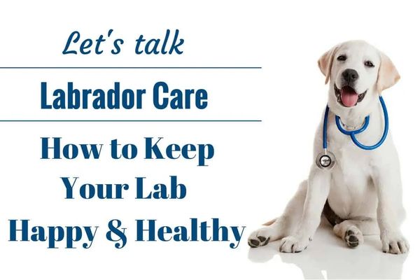 Puppy health care and genetic testing