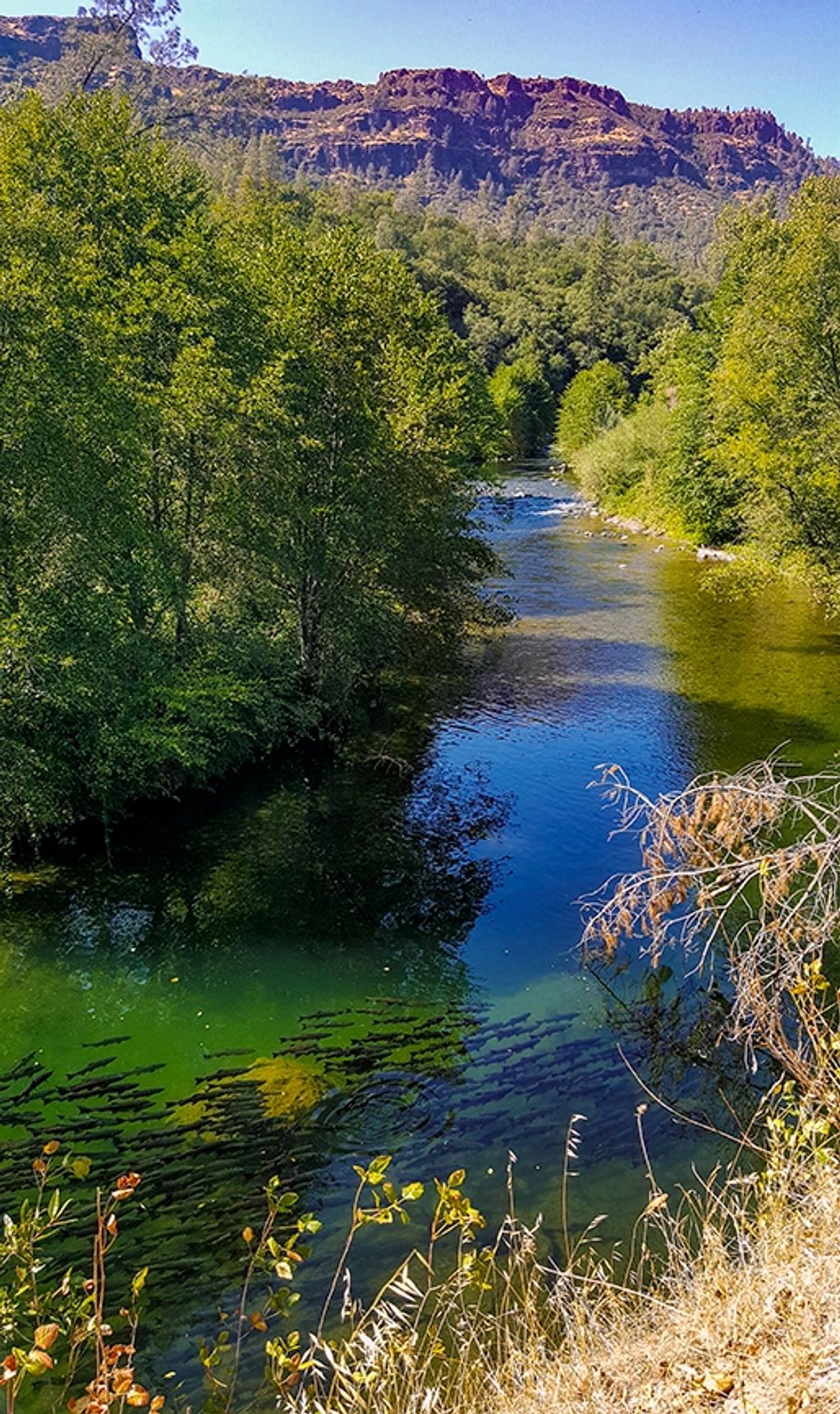 Butte Creek Canyon
