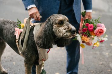 Groom waiting with his best pup and holding a bouquet or colourful flowers.