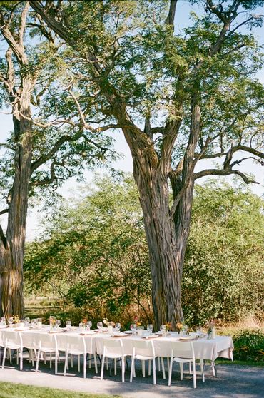 Alfresco rehearsal dinner dining on the laneway lined with mature trees.