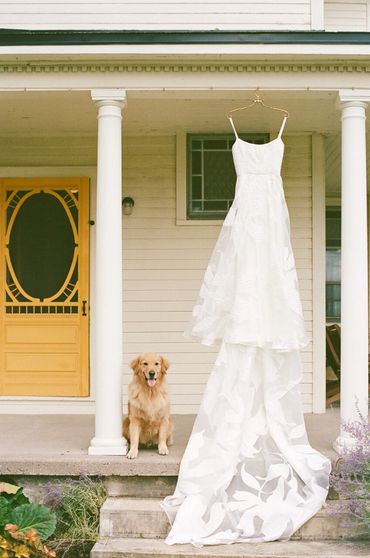 Wedding dress hanging on a farm house veranda, with a goldern retreiver and a yellow door.
