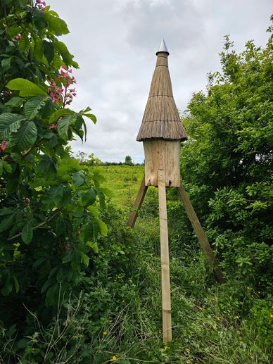 Elevated conservation log hive