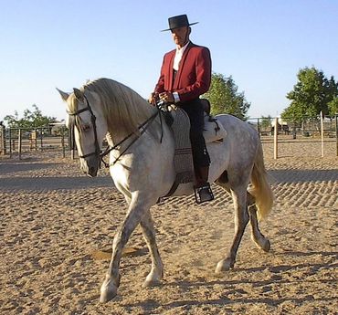 John Saint Ryan riding in Spanish Equitation attire.