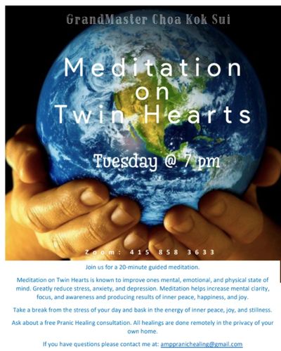 Join hands and hearts to help heal the earth. Group guided meditation is a simple yet powerful way t