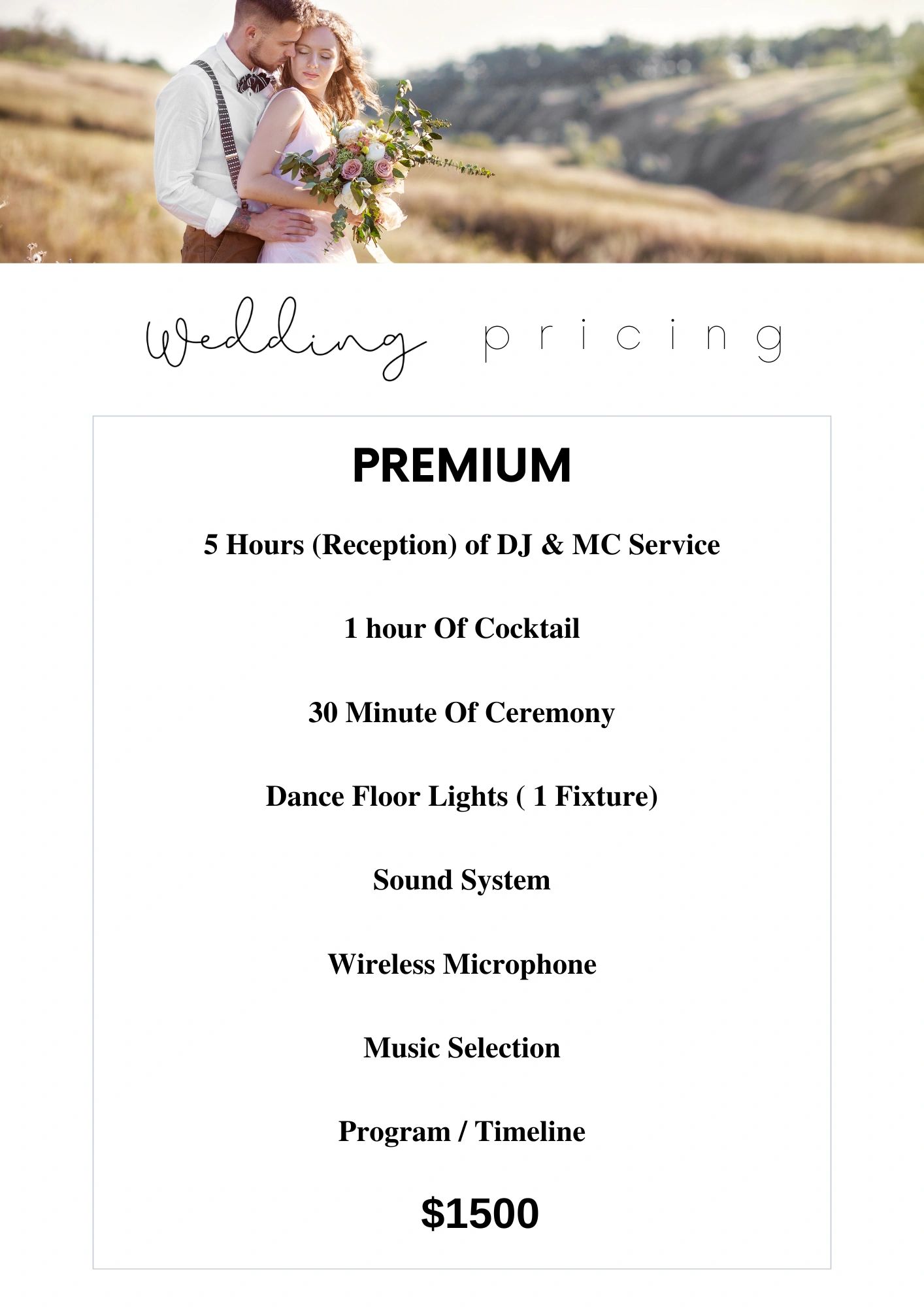 Premium Wedding DJ Packages